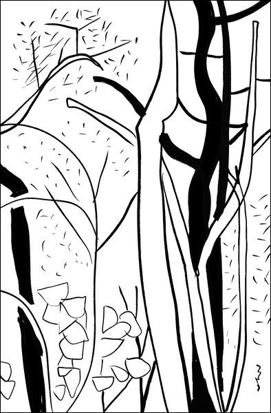 장병언, Digital Drawing, digital_work, 2026